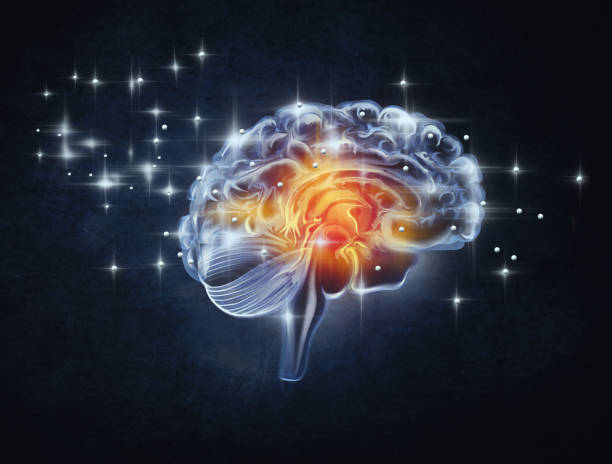 Video Games Improve Cognition, Study&nbsp;Finds